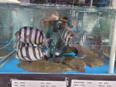 황금어장 이미지