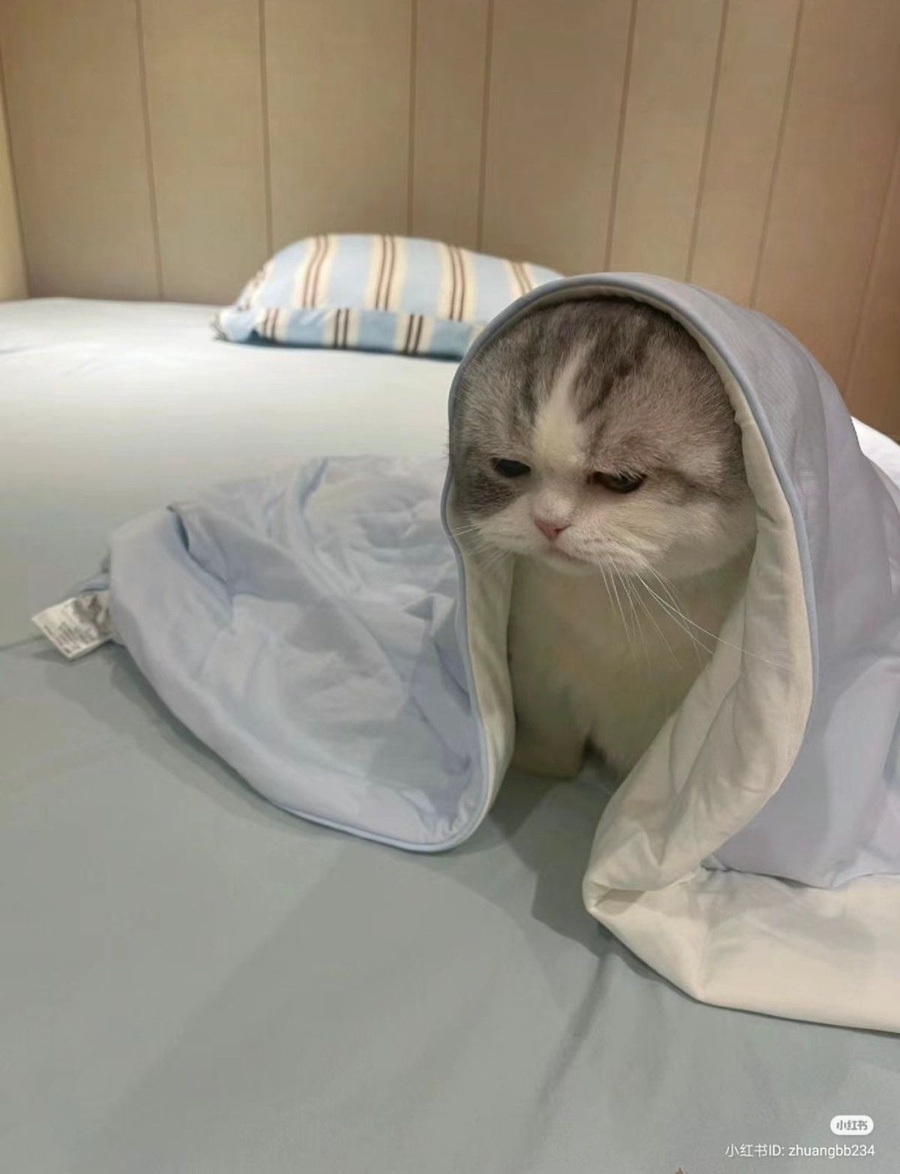 우쭈쭈 이미지