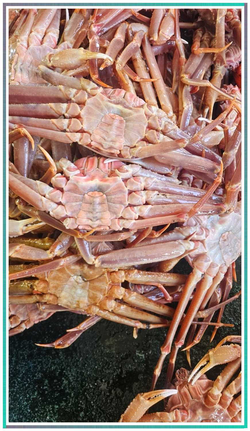 홍게천국 이미지