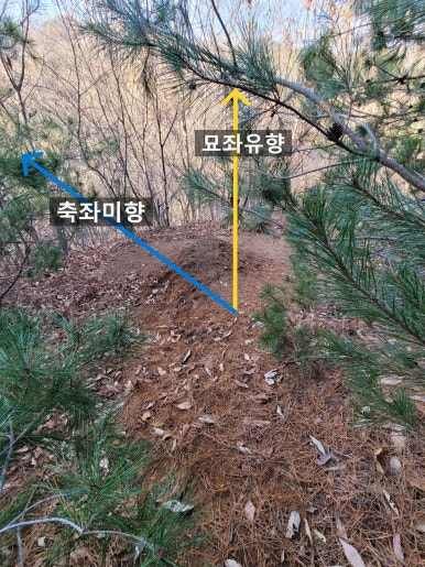 대성장묘 이미지