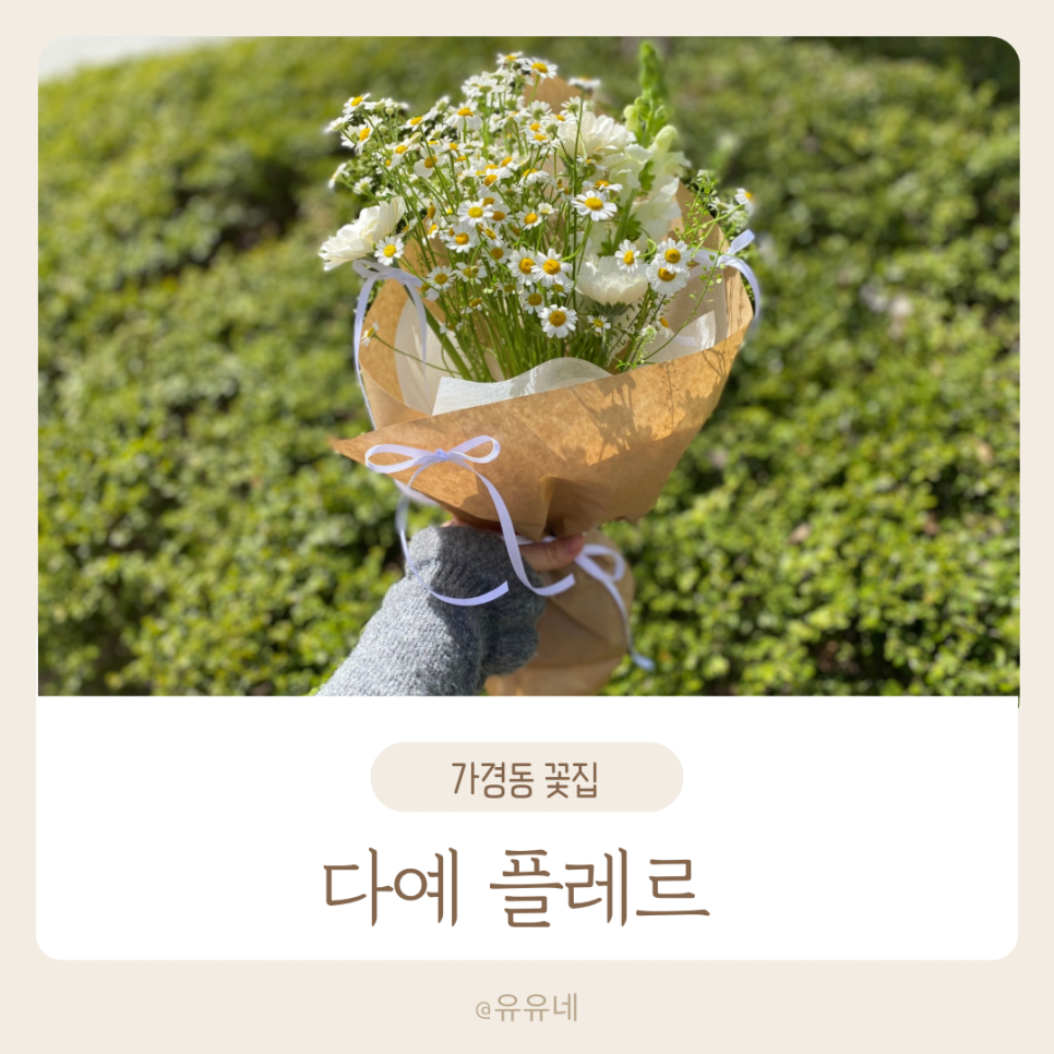 다예플레르 이미지
