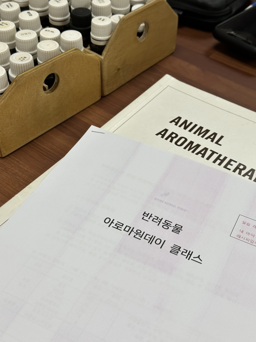 네추럴레매디 이미지