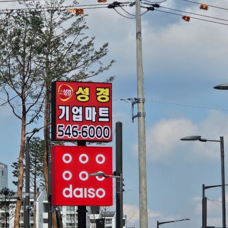 다이소아산 이미지