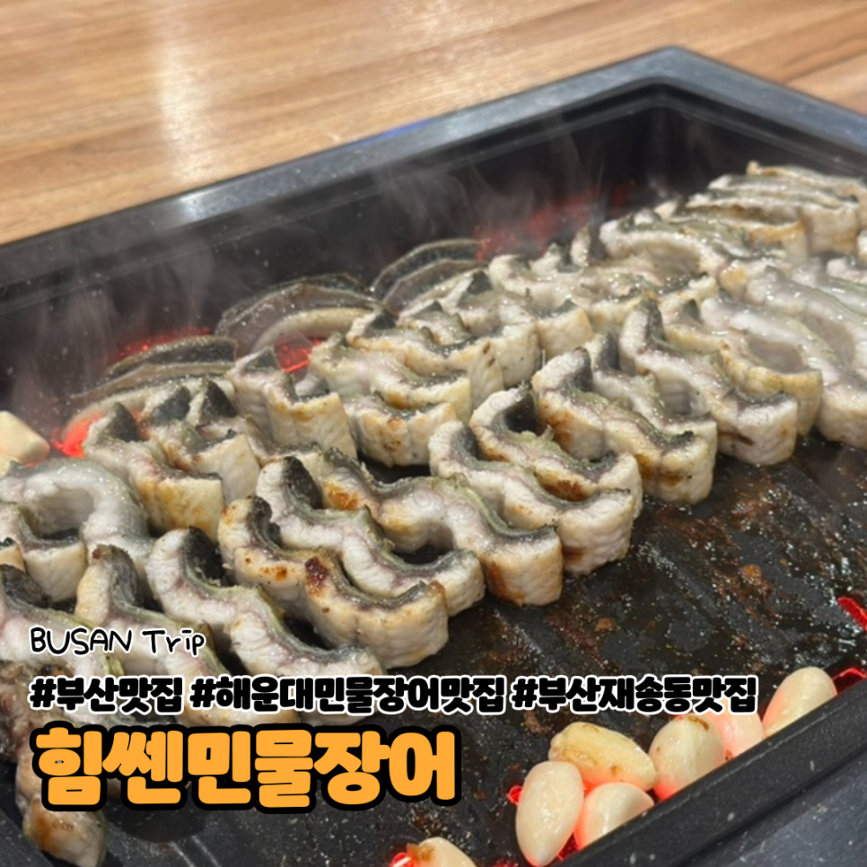 힘쎈민물장어 이미지