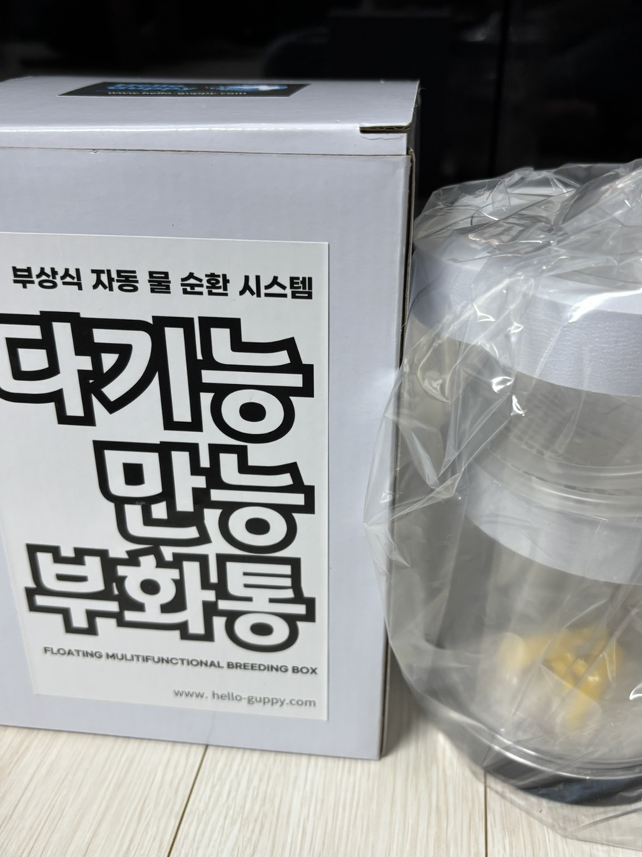 헬로구피 이미지
