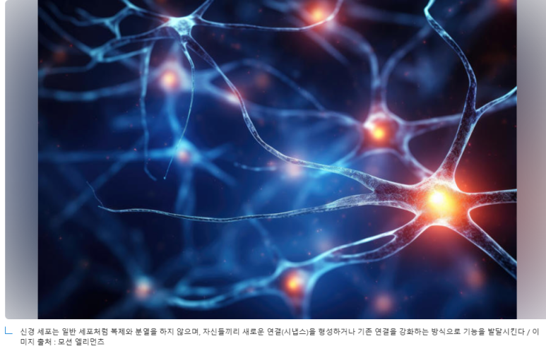 헬스라이프스토리 이미지