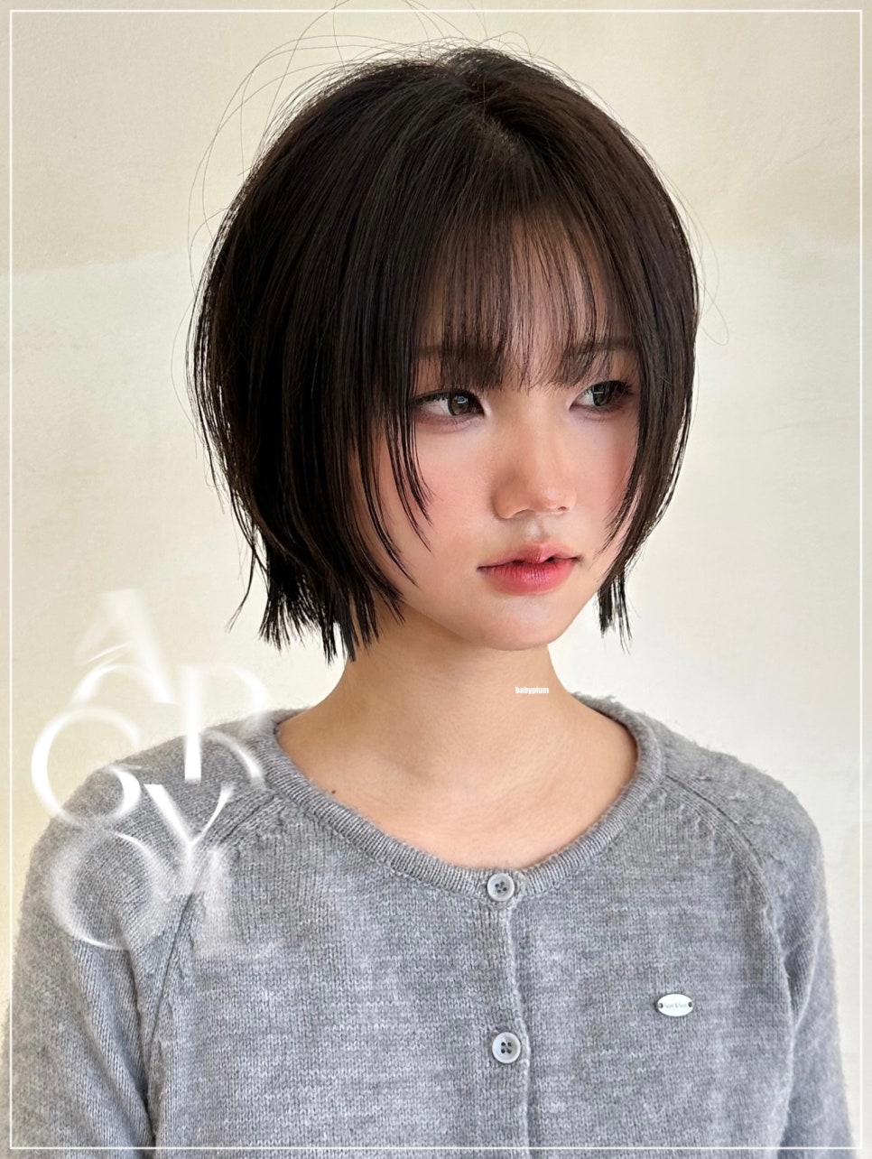아르결 이미지