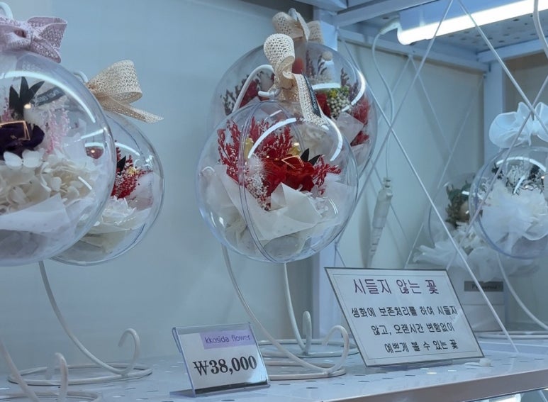 꼬시다;꽃 이미지