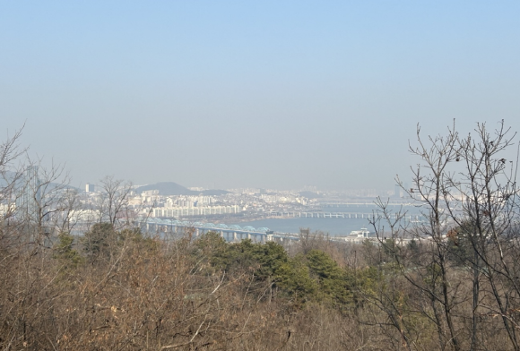 소호리빙텔 이미지