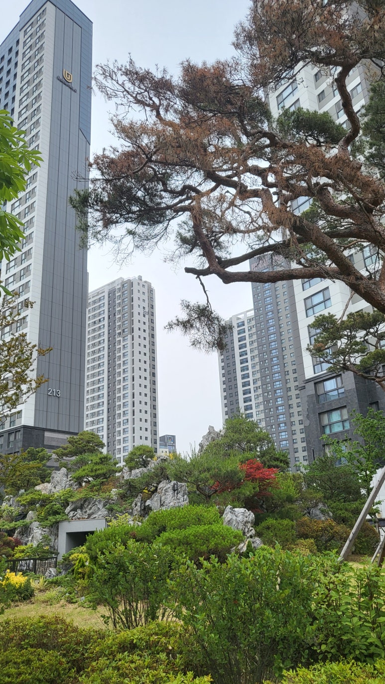 153식자재마트 이미지