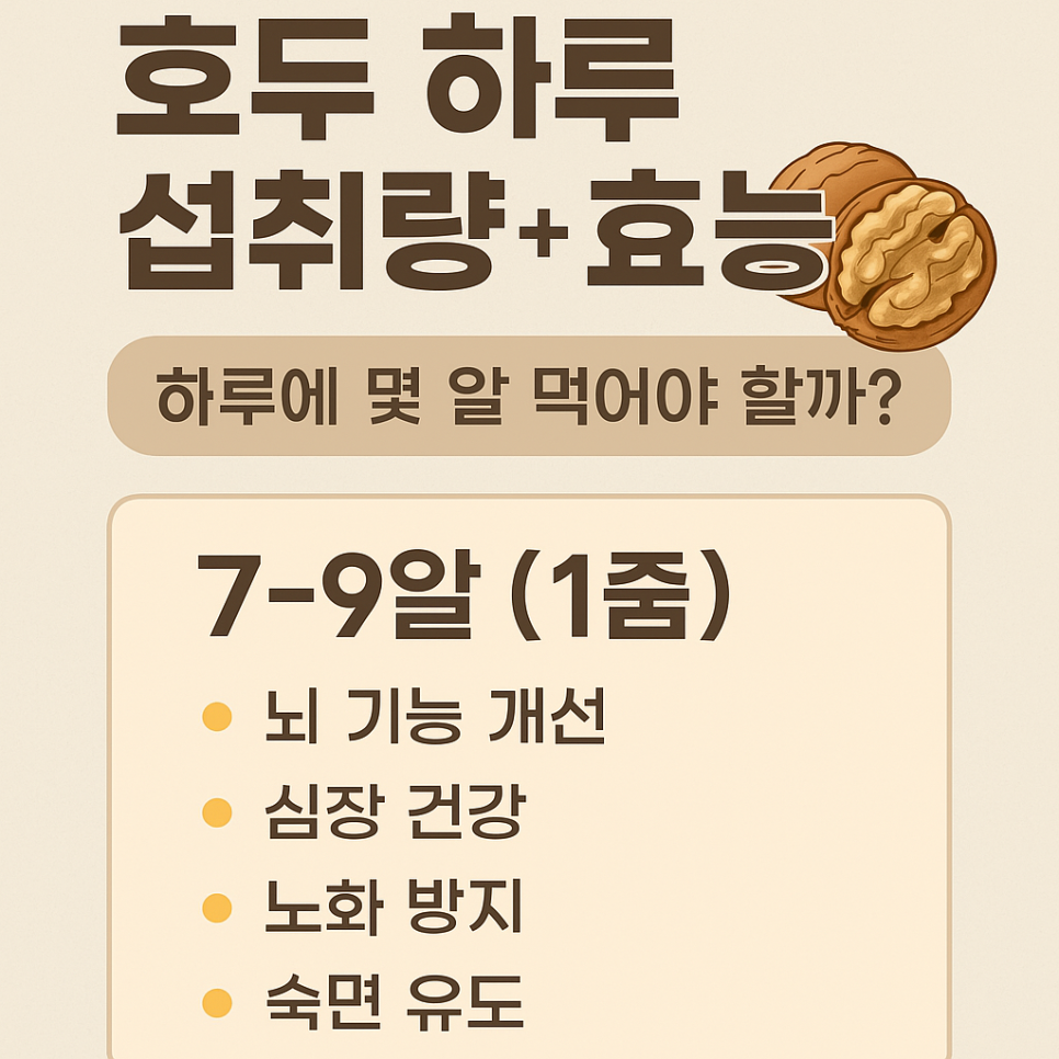 하루호두 이미지