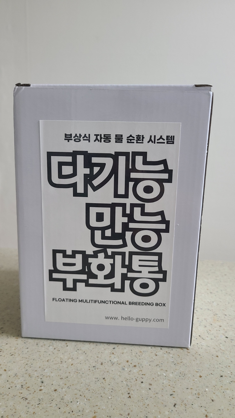 헬로구피 이미지
