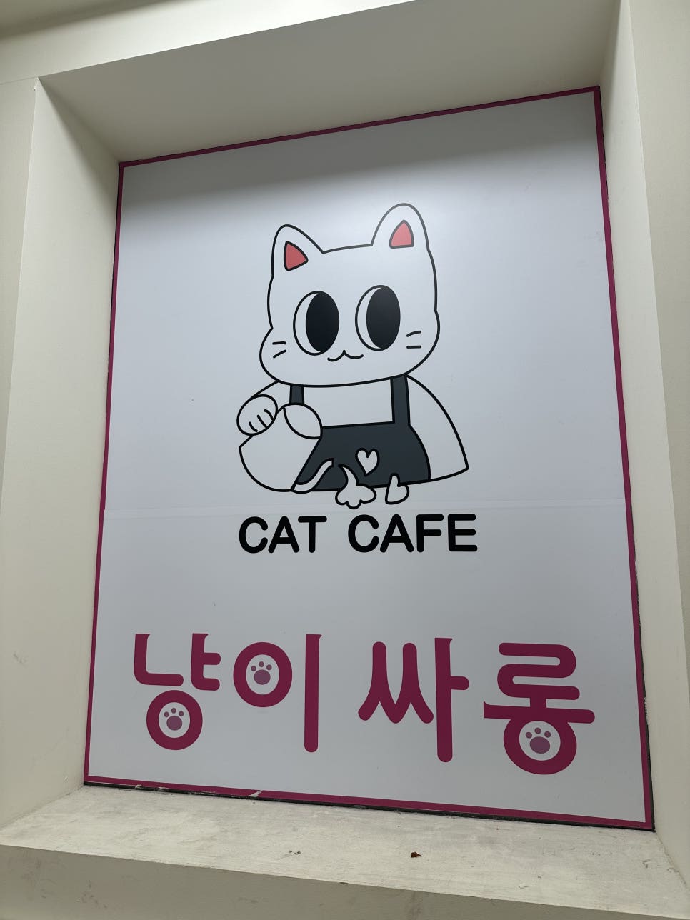 냥이싸롱 이미지