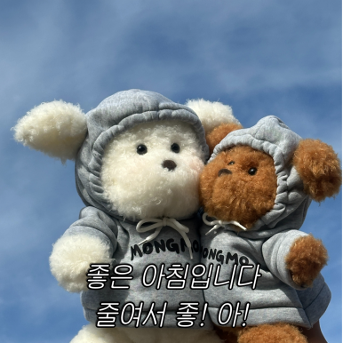 셀립여의 이미지