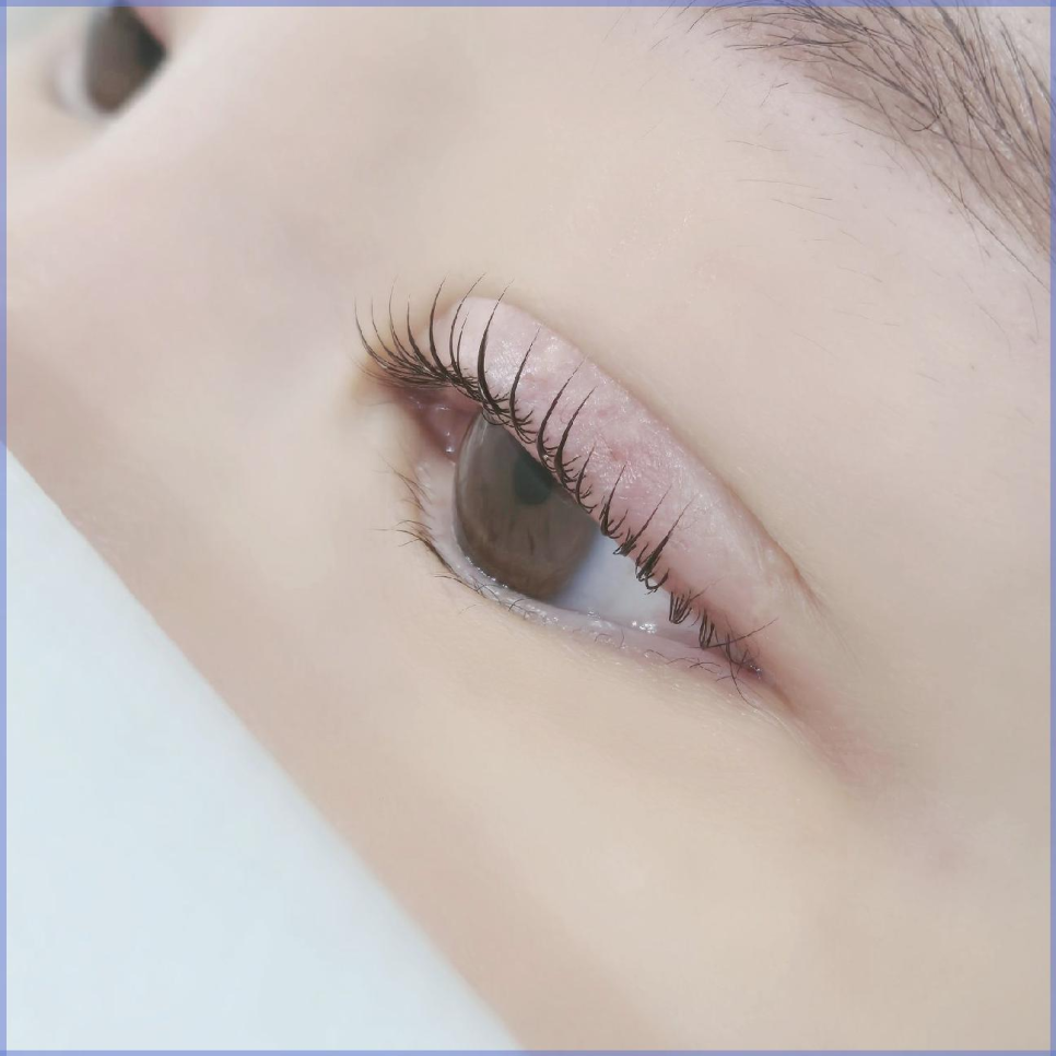 래쉬브로우 이미지