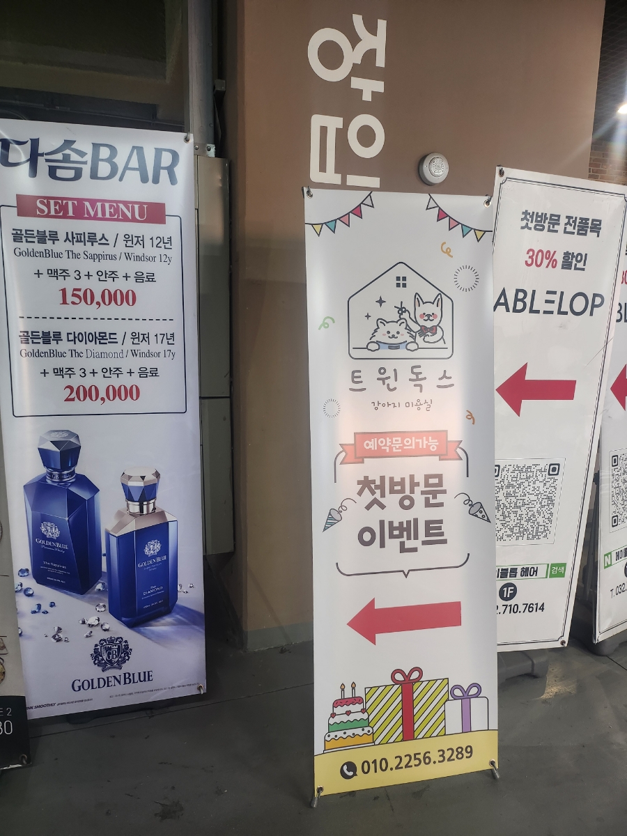 영종도 애견미용 트윈독스, 강아지 가위컷 전문점 — 사진 3