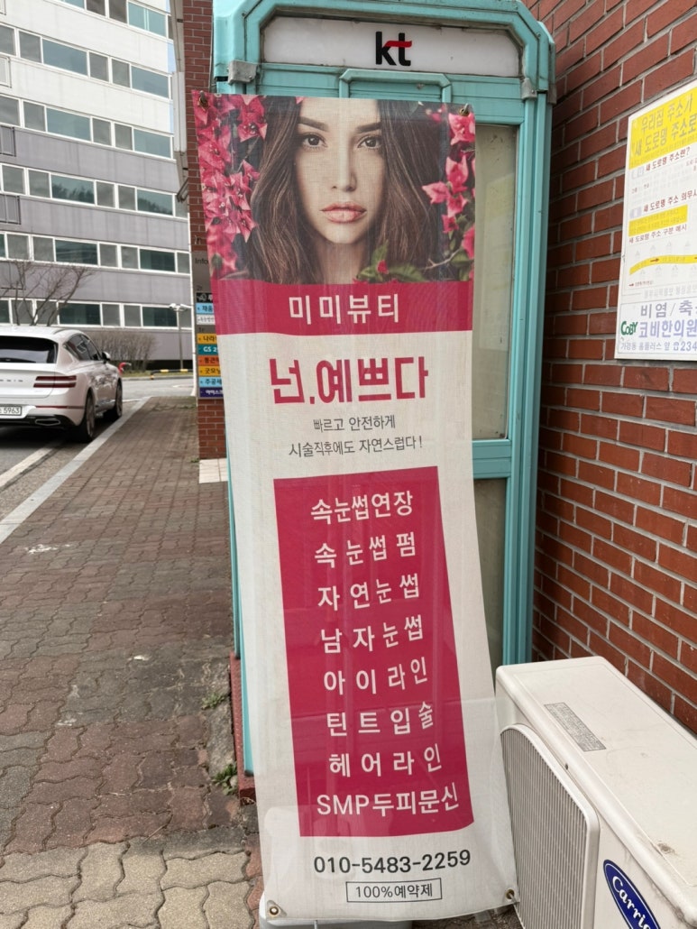 통큰딱따구리 이미지