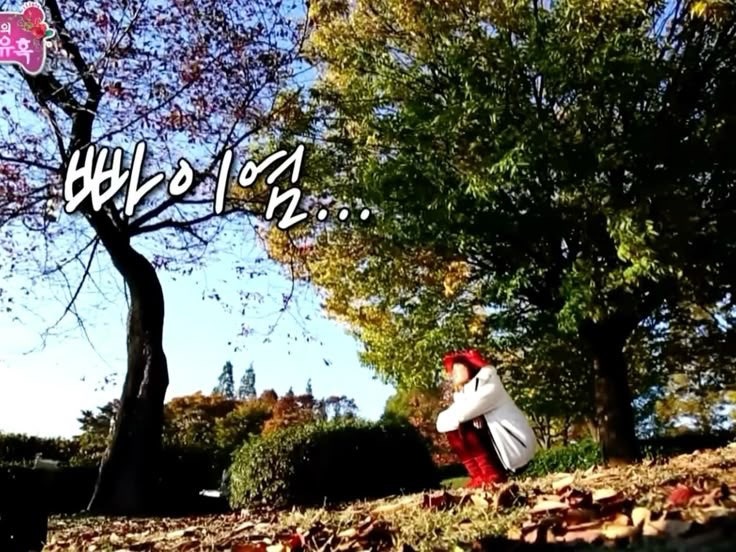 효빈나라 이미지