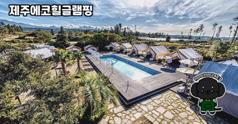 제주에코힐글램핑 이미지