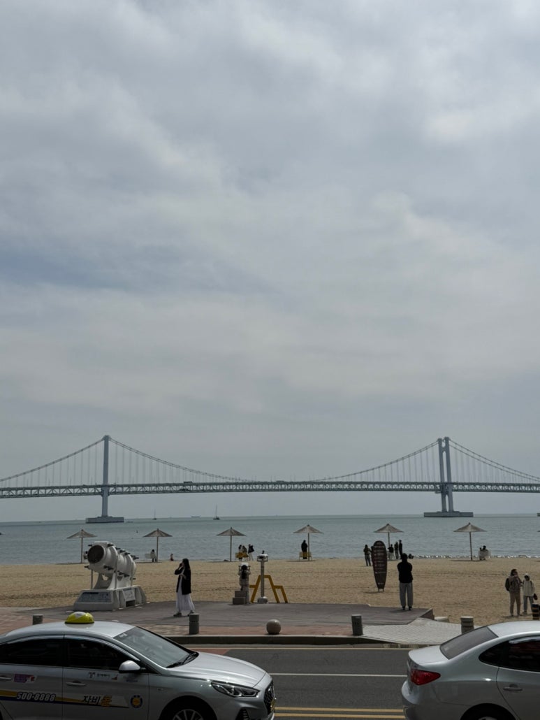 젊은이의양지 광안본점 이미지