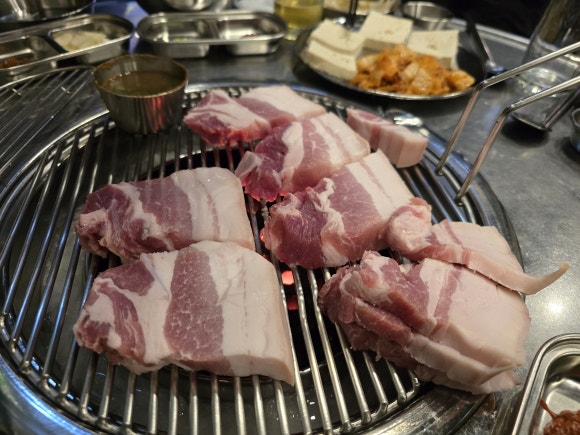 탄통제주돼지 이미지