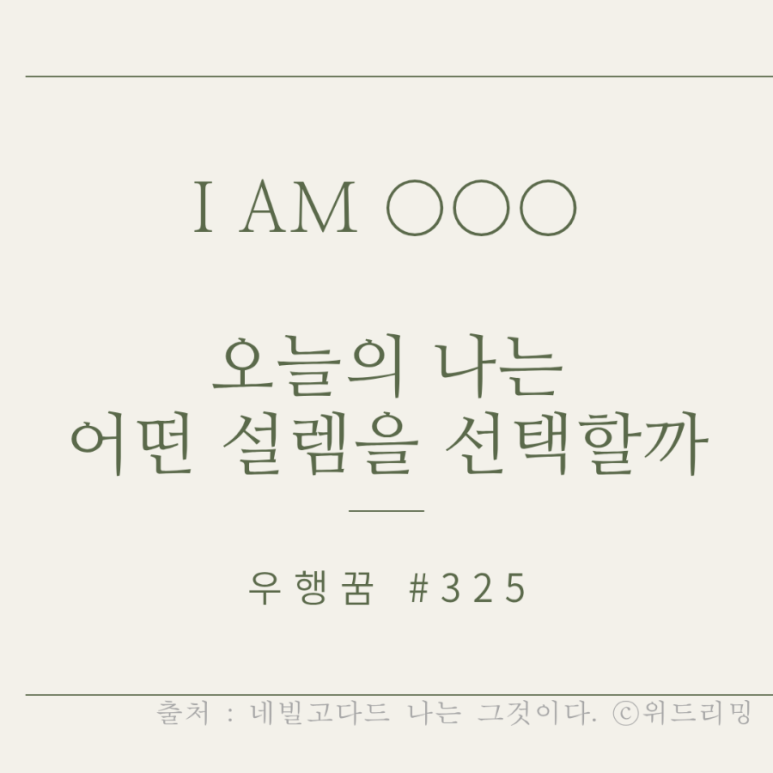 오늘의설렘 이미지