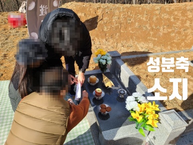 대성장묘 이미지