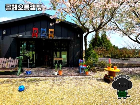 골체오름캠핑 이미지