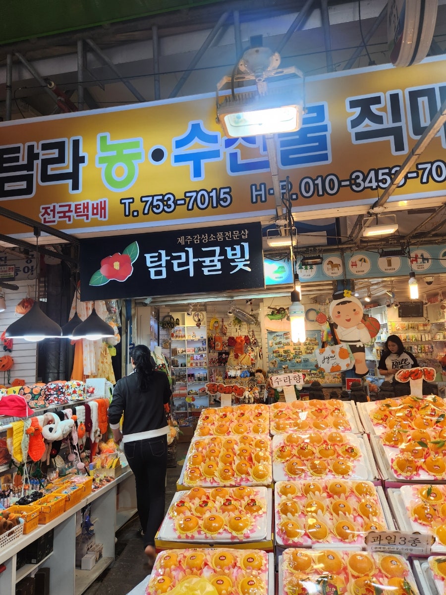 탐라귤빛 이미지