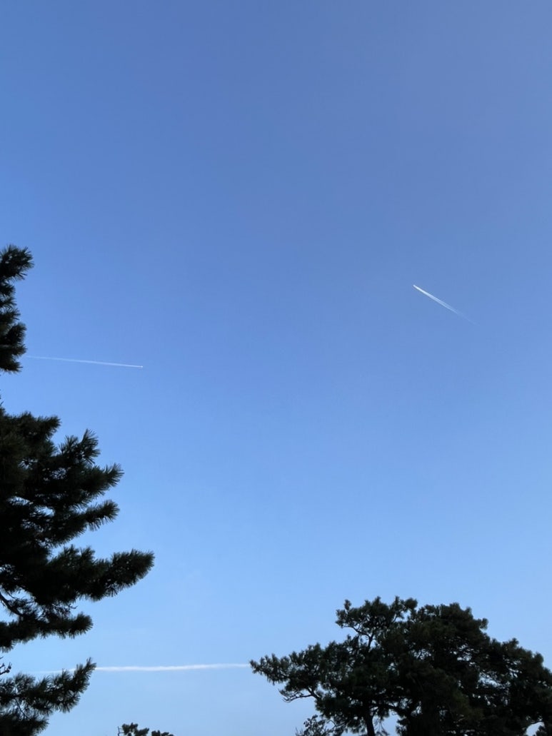 송아미용실 이미지