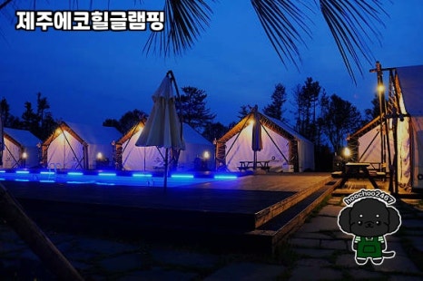제주에코힐글램핑 이미지