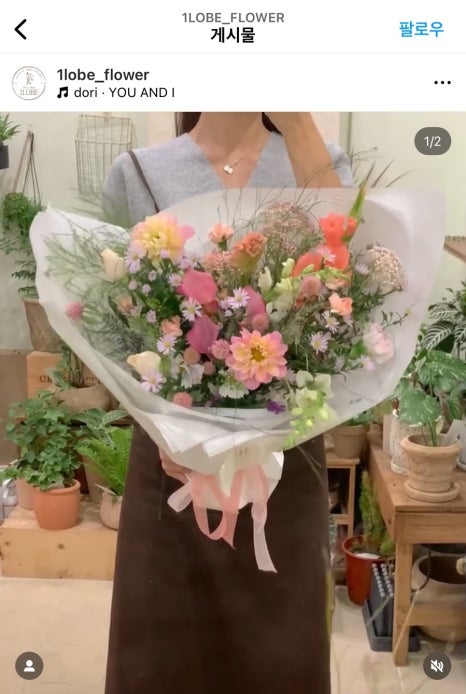 일로브 이미지