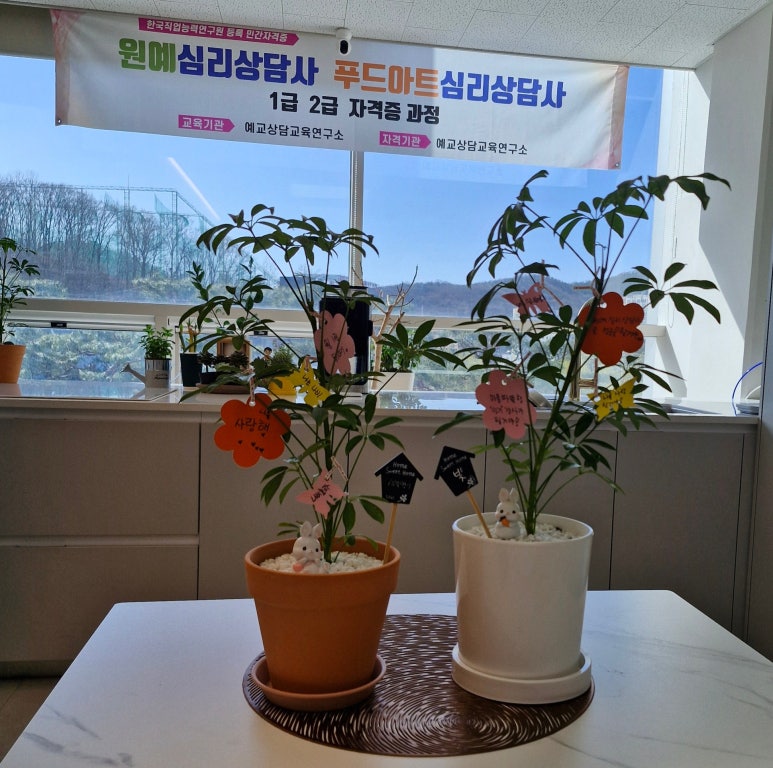홍콩테라피 이미지