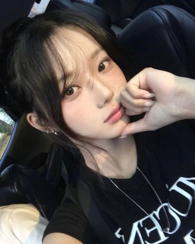 파마 이미지