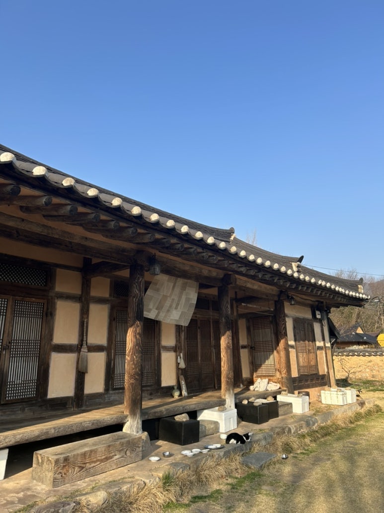 차꽃오미 이미지