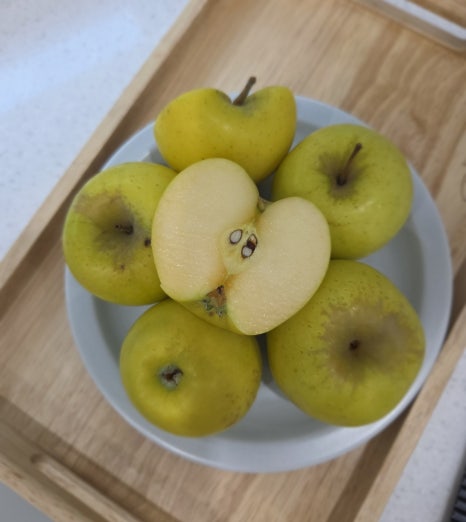 청서사과원 이미지