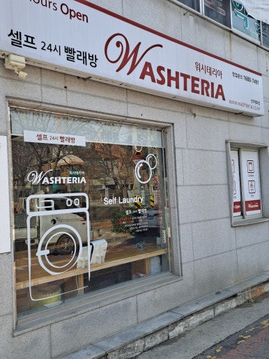 워시테리아전주 이미지