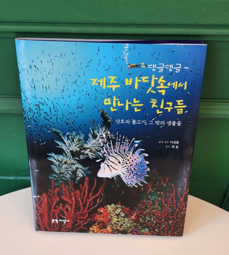 댕글댕글 이미지