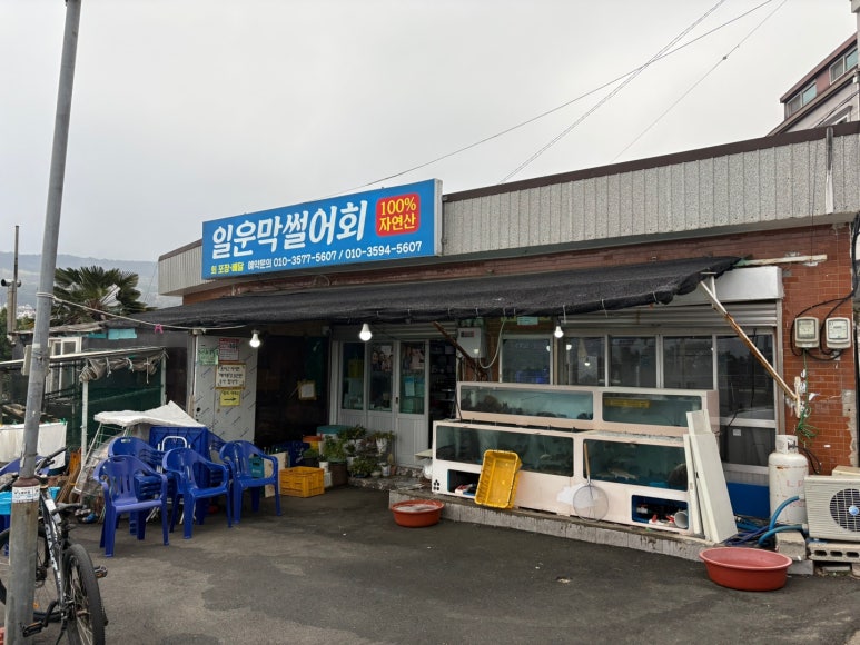 막썰어회 이미지