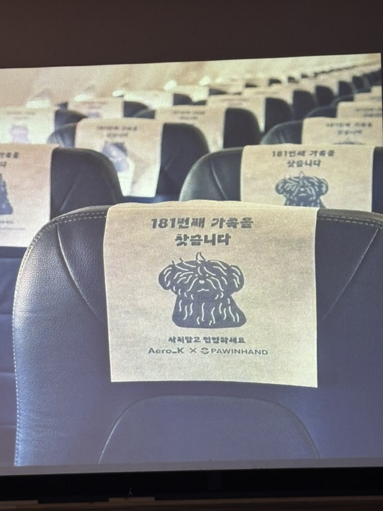 케이국토안전 이미지