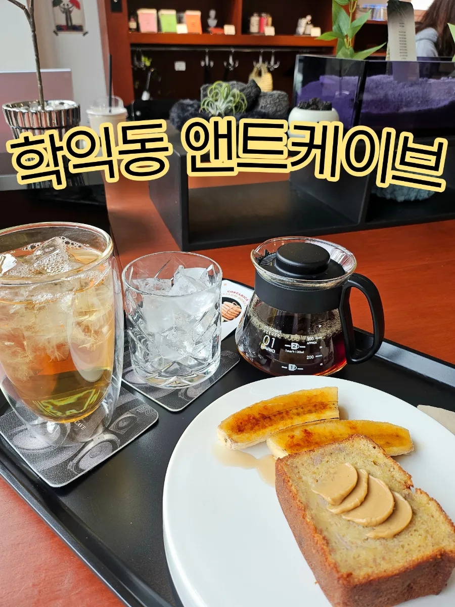 앤트케이브 이미지