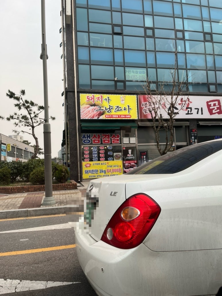 돼지가그냥조아 이미지