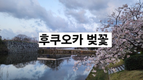 써치백투어 이미지