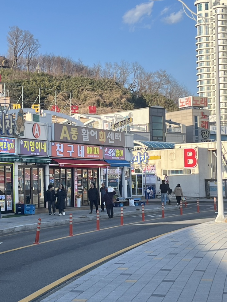종일활어 이미지
