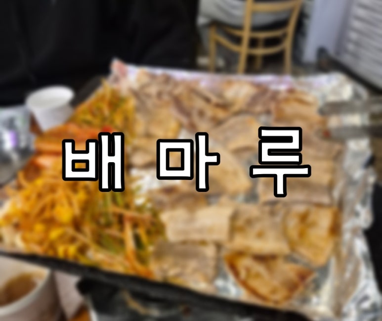 배마루 이미지