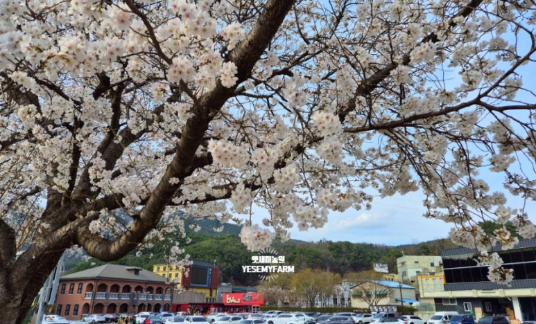 합천로컬푸드 농가 레스토랑 이미지