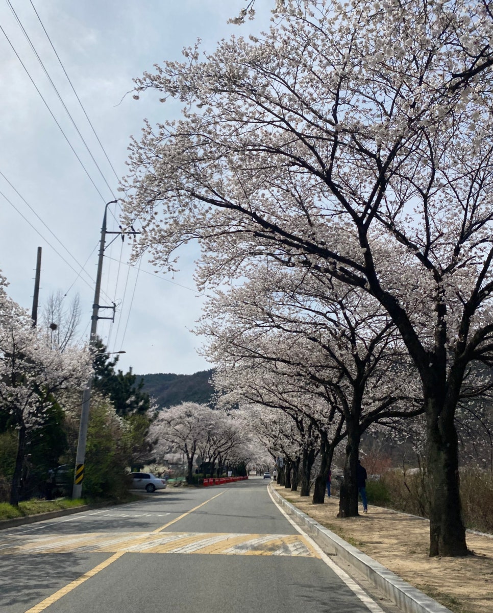 밥슐랭 이미지