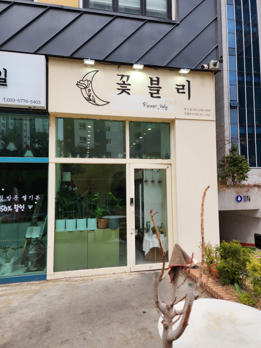 꽃블리부산 이미지