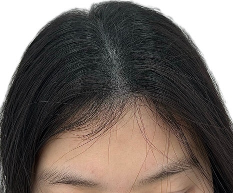 프리모르 이미지