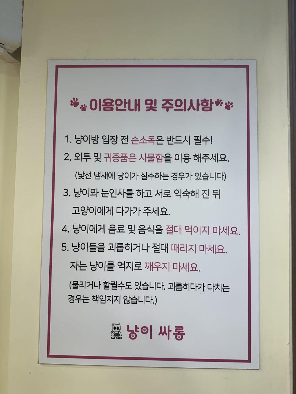 냥이싸롱 이미지